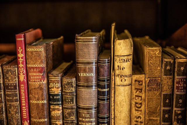 História e Conhecimento Geral