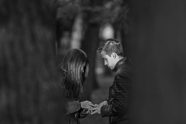 Romance, Drama e Literatura