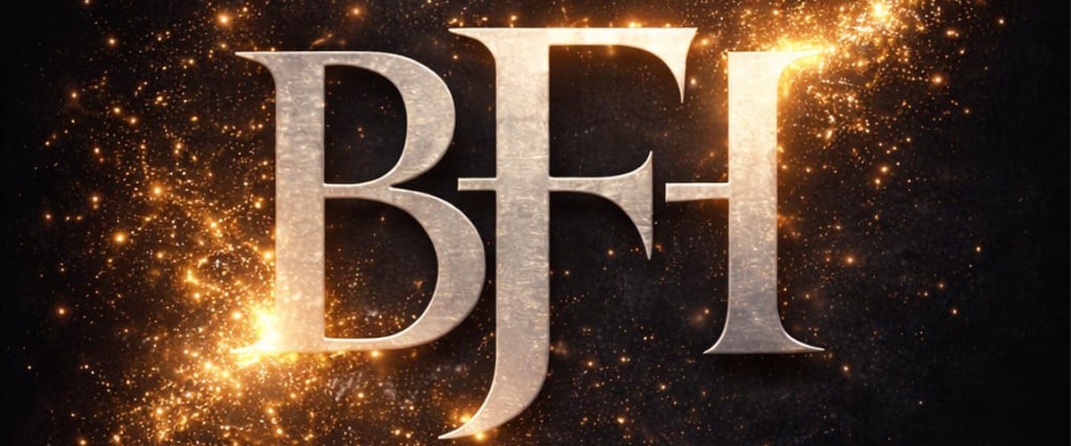 Perfil do autor BFHasckel na Ebooker